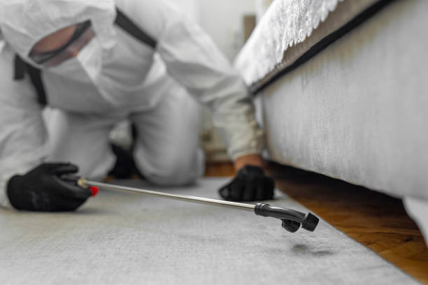 Professional Cockroach Control technician working in Baudette, MN