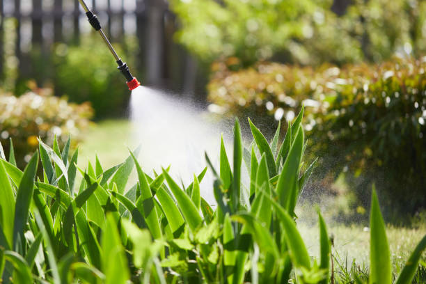 24/7 Emergency Cockroach Control experts in Baudette, MN