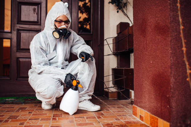 Reliable Cockroach Control contractor in Baudette, MN by Nex Pest Control