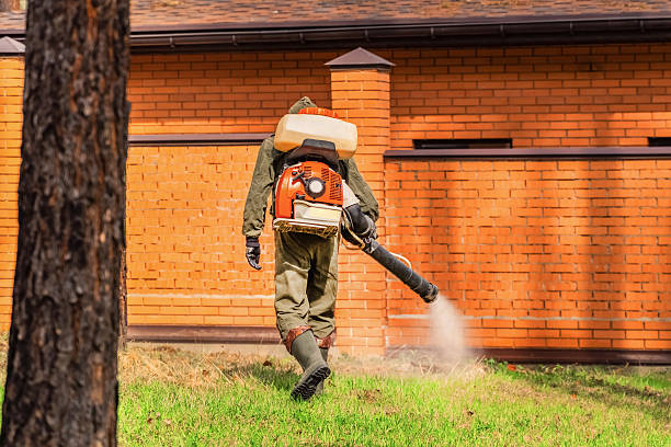 Top rated local Cockroach Control specialists in Baudette, MN